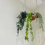 Exotique Avec Bain Balneo