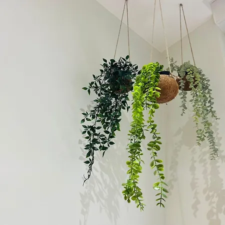 Exotique Avec Bain Balneo